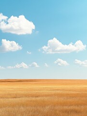 Obraz premium A vast golden field under a clear blue sky with fluffy clouds.