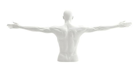 Abstract Human Form with Outstretched Arms, transparent background