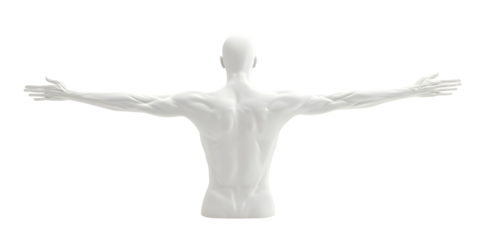 Abstract Human Form with Outstretched Arms, transparent background