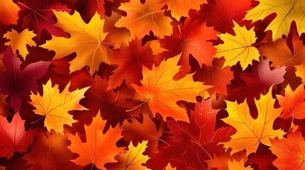 A vibrant collection of autumn leaves in shades of red, orange, and yellow.