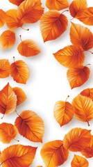 Fototapeta premium A collection of orange autumn leaves arranged on a white background.