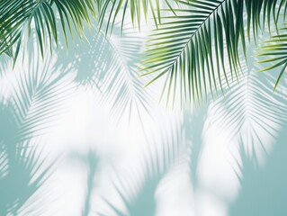 Fototapeta premium Abstract Tropical Palm Leaf Shadow Overlay - Light and airy summer background.