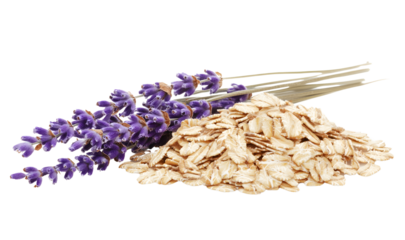 Lavender and Oats Arrangement on White Background, transparent background