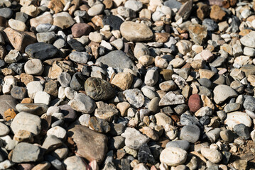 Various decorative stone shape  in garden, Stone texture background