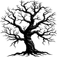 a silhouette of an old tree with twisted branches