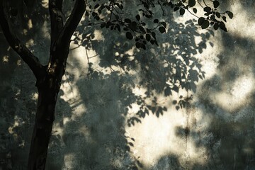 Abstract Tree Shadow Pattern on Rough Wall, Natural Light and Texture Background.