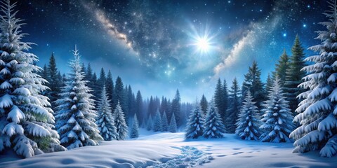 Naklejka premium Winter night landscape with snowy forest and fir branches, winter, night, landscape, snowy, forest, fir branches