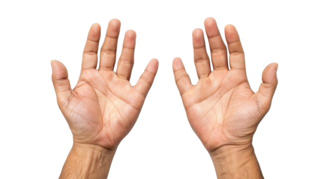 Two male hands trying to touch on white transparent background

