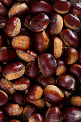 Closeup of shelled edible chestnuts in large quantities as natural nut background