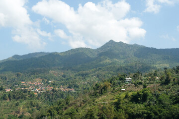 Textured Backgrounds of Lush hills. Scenic natural scenery. Hills full of green trees and also terraced rice fields. Wallpaper Backgrounds. Landscape photography concept