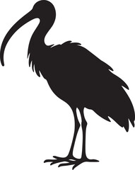 Fototapeta premium ibis bird standing silhouette vector art illustration.