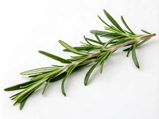 Fototapeta premium rosemary on a wooden board. rosemary, herb, isolated, green, plant, spice, fresh, food, ingredient, white, herbal, leaf, branch, medicine, aromatic, twig, bunch, healthy, nature, herbs, organic, fresh