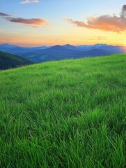 Fototapeta premium A serene landscape featuring lush green grass under a colorful sunset sky.