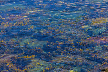 Shades Of Blue In Conception Bay