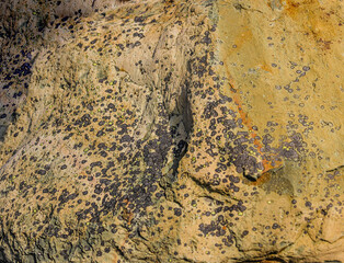 Rock On The Shores Of Brigus Newfoundland