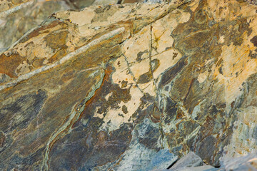 Colorful Rock In Brigus Newfoundland