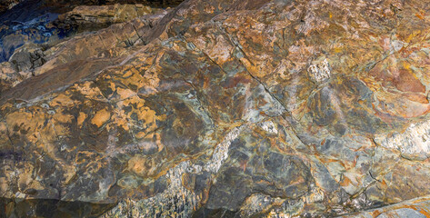 Colorful Rock In Brigus Newfoundland