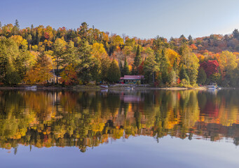 The Splendor Of Autumn