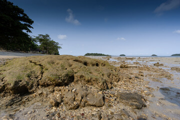 Obraz premium Sandy tropical coastline and beaches with blue sky