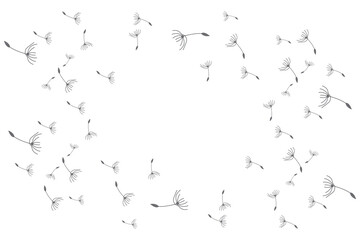 Fototapeta premium Dandelion Logo, Vector Plant Dandelion flower, Design Icon Template