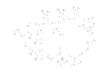 Dandelion Logo, Vector Plant Dandelion flower, Design Icon Template