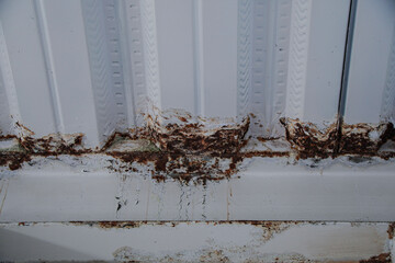 Close-up of a rusty metal surface with a textured pattern, showing signs of corrosion and damage. The white metal has a weathered appearance, with brown rust patches covering the surface.