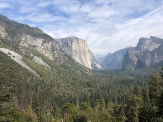 Fototapeta premium Yosemite