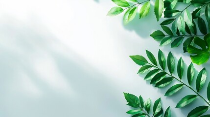 Serene Minimalist White Background with Playful Shadow Effects for Sleek Modern Mockups and Product Displays