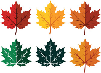 Fototapeta premium Vector Silhouette Summer Icon Set of Maple Leaves in Autumn Colors on White Background