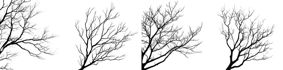 Bare twisted branches of dark monochrome trees silhouetted against a stark minimalist winter landscape  The skeletal gnarled limbs create a moody ethereal and ominous atmosphere
