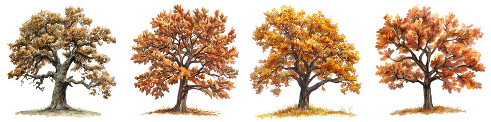 watercolor painting depicting the vibrant colors of an autumn oak tree  The leaves display a range of fall hues from warm oranges and reds to muted browns creating a beautiful and natural scene