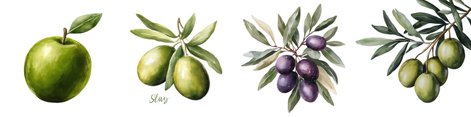 Vibrant Olive Branch Watercolor Painting Showcasing Lush Foliage and Flavorful Fruit  This captures the beauty and essence of the Mediterranean olive tree with its rich green leaves and plump