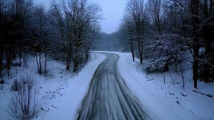 Serene Winter Landscape with Snowy Road Curving Through Trees in a Quiet Forest during Overcast Weather