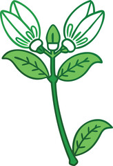 Green Flowering Plant with Buds and Leaves, Vector illustration of a green plant with two blooming flowers, a central bud, and detailed leaves, showcasing a fresh and natural design.
