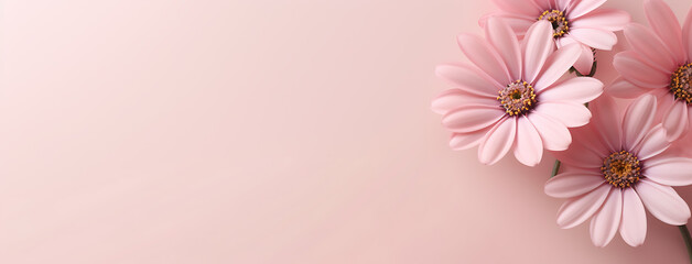 Fototapeta premium Beauty pink flower on pink background