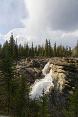 Athabasca Falls in the Spring