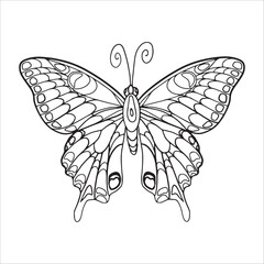 butterfly doodle