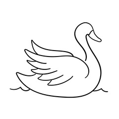 swan