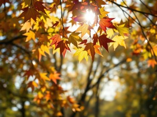 Obraz premium Close-up of colorful autumn leaves falling from trees with soft sunlight filtering through, creating a peaceful and serene atmosphere, nature, seasonal