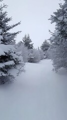 A serene winter pathway surrounded by snow-covered trees, creating a peaceful atmosphere.