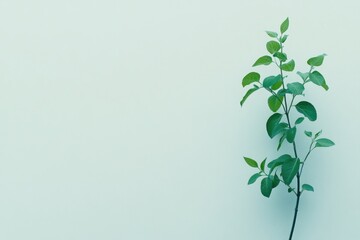 A simple green plant against a soft blue background, symbolizing nature and tranquility.