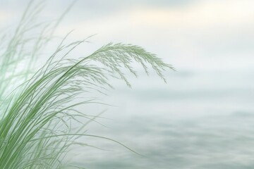A serene close-up of grass swaying gently by a tranquil water surface.