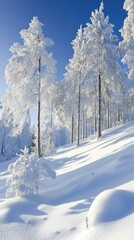 Obraz premium A serene winter landscape featuring snow-covered trees and a clear blue sky.