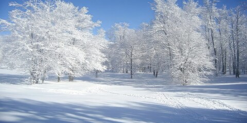 Fototapeta premium A serene winter landscape with snow-covered trees under a clear blue sky.