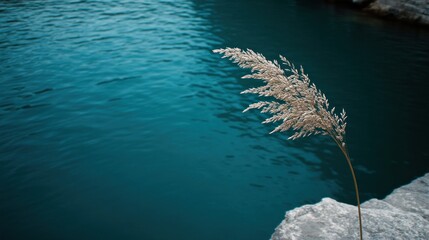 A solitary plant stands against a tranquil blue water backdrop, evoking calmness and nature.