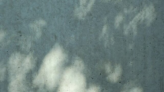 秋・木漏れ日の影と光　木の陰と太陽の光コンクリートの壁に落ちたキラキラした木陰　落ち葉とやわらかい光