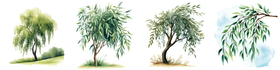 Obraz premium Vibrant and lifelike watercolor painting depicting a serene weeping willow tree surrounded by a lush verdant natural landscape The painting showcases the flowing