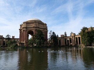 Obraz premium Swans are swiming in a pond at the Palace of Find Arts, San Francisco.