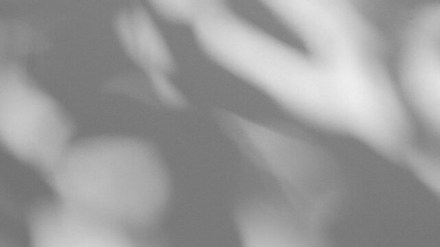 Wall interior background, studio and backdrops show products.with shadow from window color white and grey. background for text insertion and presentation product