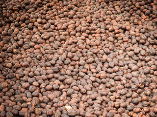Beautiful dark brown black coffee beans, detailed, lots, beautiful from sunlight on a farm.